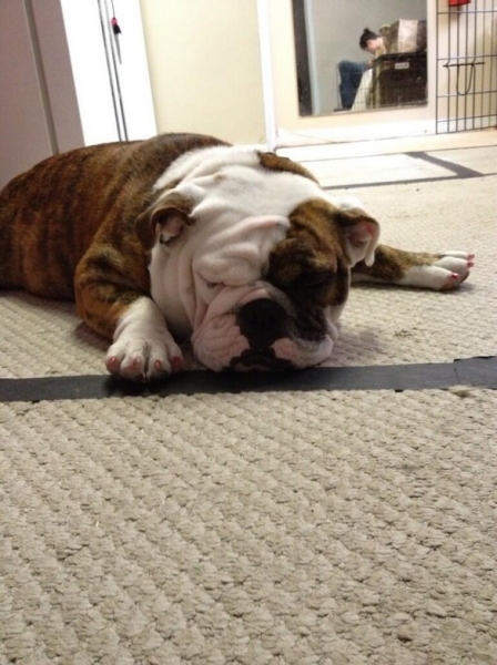 Photo Flash: Saturday Intermission Pics, June 1 - First SIP from Paper Mill's THE LITTLE MERMAID, KINKY BOOTS Takes the Heat and More!  Image