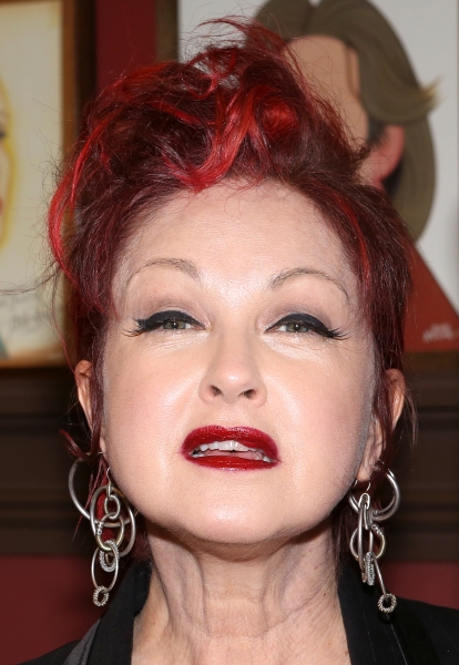 Photo Coverage: Sardi's Unveils Cyndi Lauper's Caricature! Image