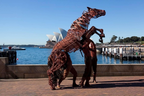 Photo Flash: WAR HORSE's Joey Visits the UK, US, Germany and Australia 