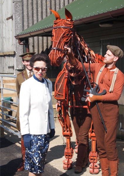 Photo Flash: WAR HORSE's Joey Visits the UK, US, Germany and Australia Image