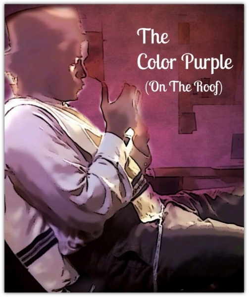 Photo Flash: Saturday Intermission Pics, June 15 - NICE WORK's Last SIP, Toronto's WIZARD OF OZ Hits 200 Shows and More!  Image