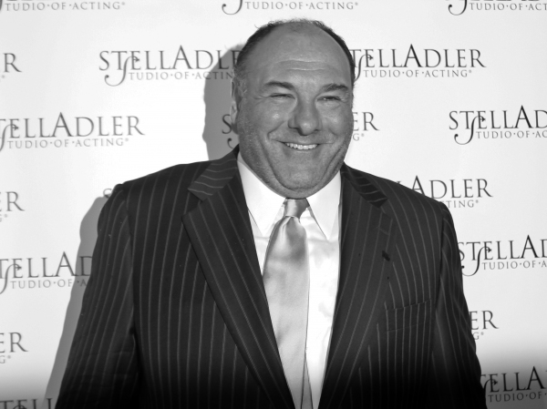 Photo Flash: James Gandolfini at Last Week's Stella By Starlight Gala Image