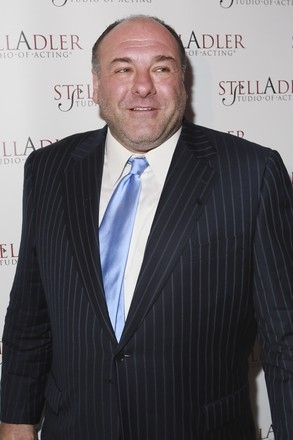 Photo Flash: Stella Adler Studio of Acting Remembers James Gandolfini Image