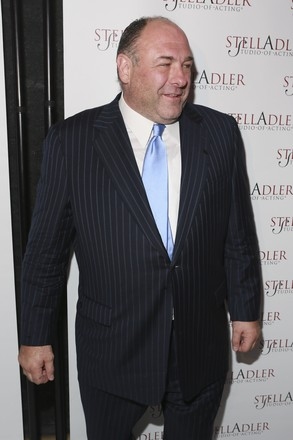 Photo Flash: Stella Adler Studio of Acting Remembers James Gandolfini Image