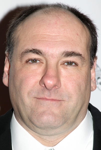 Photo Coverage: Remembering James Gandolfini Image