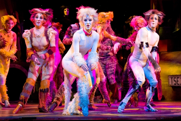 Photo Flash: First Look at Theatre by the Sea's CATS, Now Through 7/13 