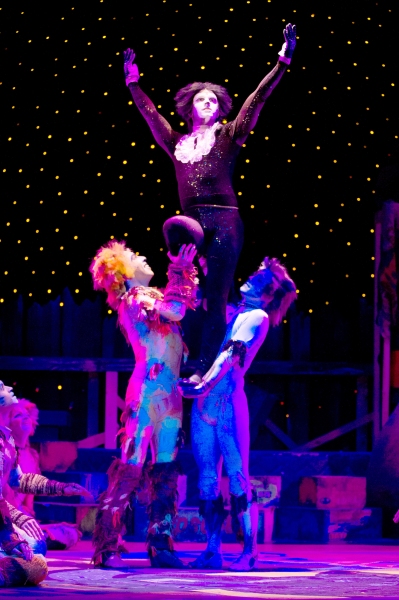 Photo Flash: First Look at Theatre by the Sea's CATS, Now Through 7/13 