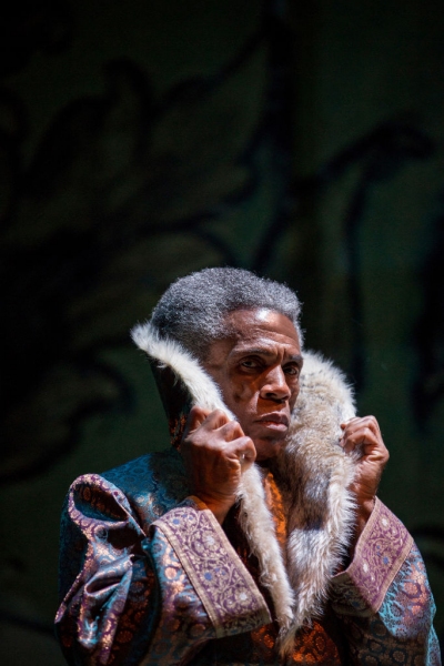 Photo Flash: First Look at Kevin Carolan, Jeremy Duvall and More in Goodman's THE JUNGLE BOOK Image