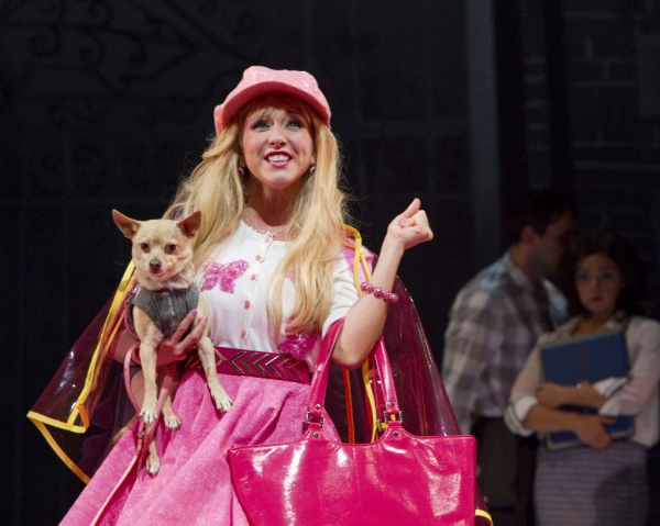 Photo Flash: First Look at Libby Servais, Christopher Carl and More in LEGALLY BLONDE at Merry-Go-Round Playhouse Image