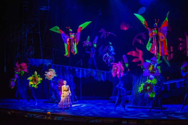Photo Flash: First Look at Felicia Boswell, Nicholas Rodriguez & More in Lyric Theatre's TARZAN Image