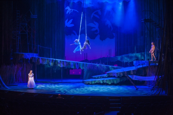Photo Flash: First Look at Felicia Boswell, Nicholas Rodriguez & More in Lyric Theatre's TARZAN Image