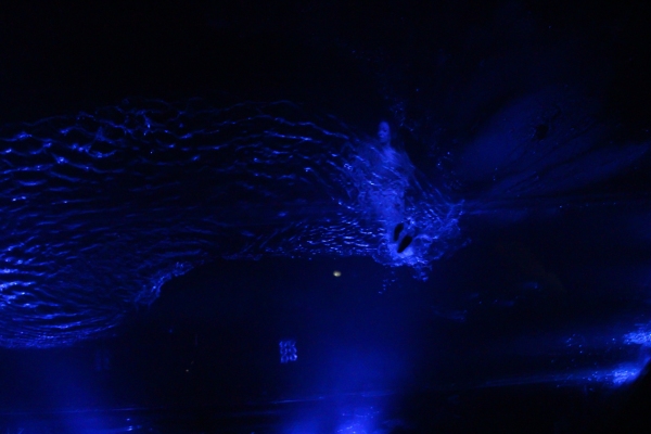 Photo Coverage: FUERZA BRUTA Celebrates 2000th Performance!  Image