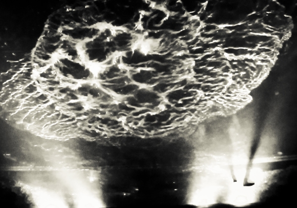 Photo Coverage: FUERZA BRUTA Celebrates 2000th Performance!  Image