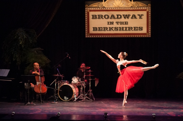 Photo Flash: Tonya Pinkins and More at Shakespeare & Company's BROADWAY IN THE BERKSHIRES Gala Image