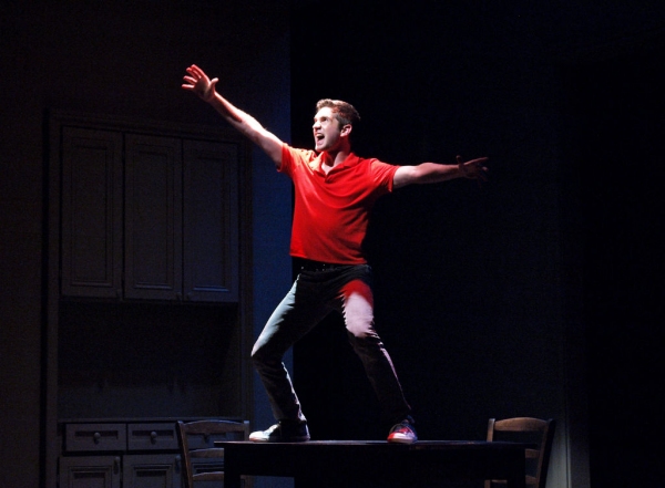 Photo Flash: First Look at Heidi Blickenstaff, Dan DeLuca, Aaron Ramey and More in Weston Playhouse's NEXT TO NORMAL Image