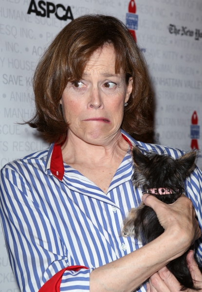 Photo Coverage: Broadway Shows Some Puppy Love! Backstage at BROADWAY BARKS 15 - Part One  Image
