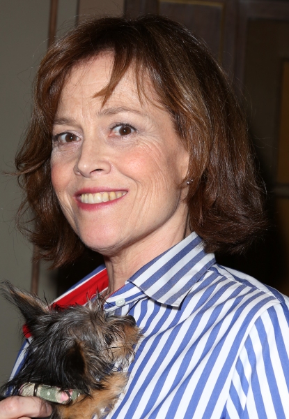 Photo Coverage: Broadway Shows Some Puppy Love! Backstage at BROADWAY BARKS 15 - Part One  Image