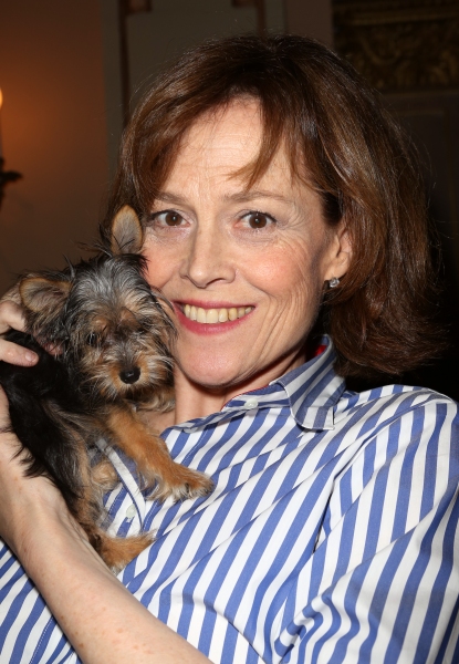 Photo Coverage: Broadway Shows Some Puppy Love! Backstage at BROADWAY BARKS 15 - Part One 