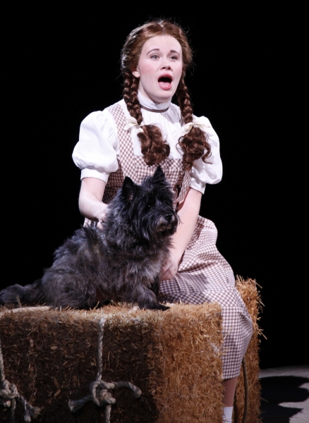 Photo Flash: First Look at Danielle Bowan, David Coffee and More in NSMT's THE WIZARD OF OZ Image