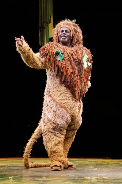 Photo Flash: First Look at Danielle Bowan, David Coffee and More in NSMT's THE WIZARD OF OZ Image