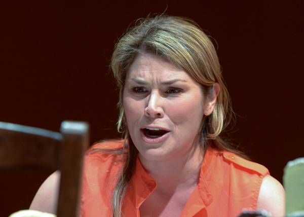 Photo Flash: Another Look at Heidi Blickenstaff, Aaron Ramey,  David Ayers and More in Weston Playhouse's NEXT TO NORMAL Image