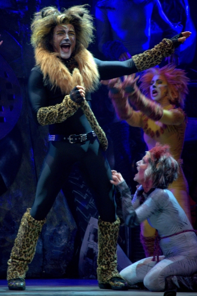 Photo Flash: Go Backstage at CATS with Martin Samuel  Image