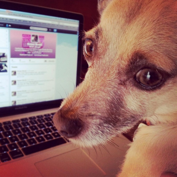 Photo Flash: Saturday Intermission Pics, July 20 - KINKY BOOTS Awaits the Royal Baby, Stratford's FIDDLER Calendar and More!  Image