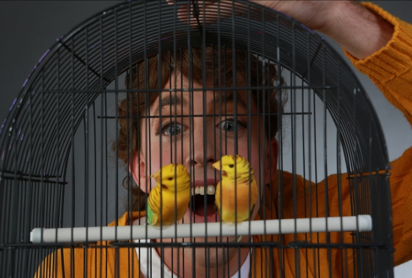 Photo Flash: Promotional Shots for Hell in a Handbag's THE BIRDS, Begin. 8/8 
