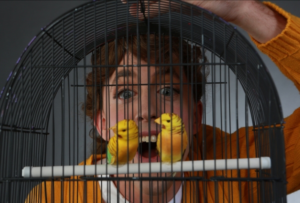 Photo Flash: Promotional Shots for Hell in a Handbag's THE BIRDS, Begin. 8/8 Image