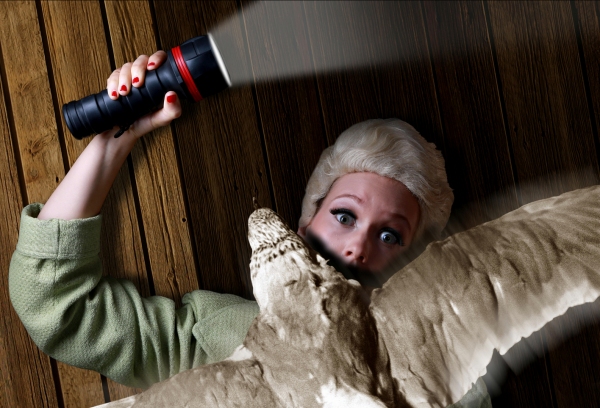 Photo Flash: Promotional Shots for Hell in a Handbag's THE BIRDS, Begin. 8/8 Image