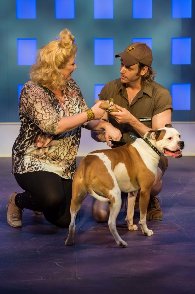 Photo Flash: First Look at Michelle London, Ben Nordstrom and More in LEGALLY BLONDE at Stages St. Louis, Opening Tonight! Image