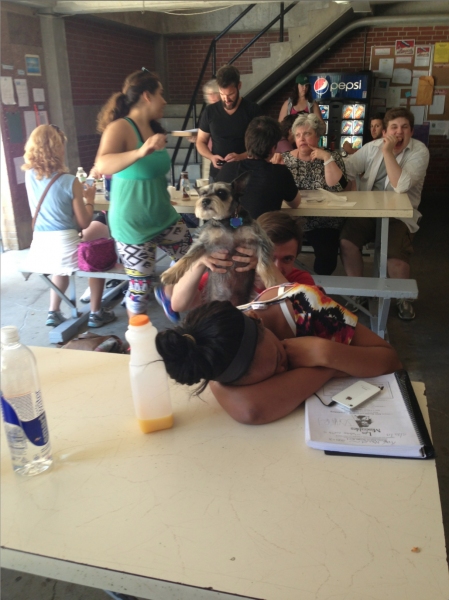 BWW Exclusive: Les Miserables at The MUNY Summer 2013 Scrapbook! Image