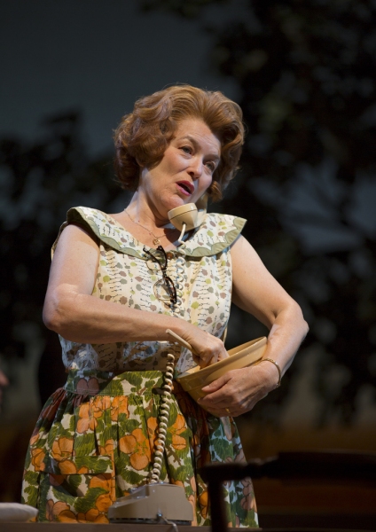 Photo Flash: First Look at THE BRIDGES OF MADISON COUNTY, Opening Tonight at WTF Image