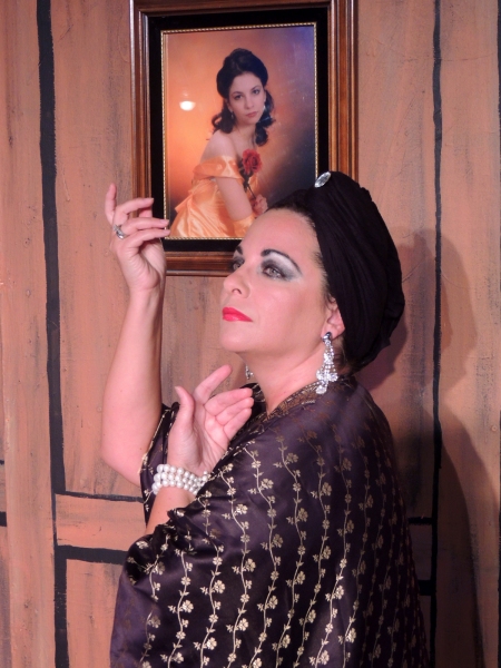 Photo Flash: SUNSET BOULEVARD to Play The Way Off Broadway Dinner Theatre Starring Jeanine Collins as Norma Desmond Image