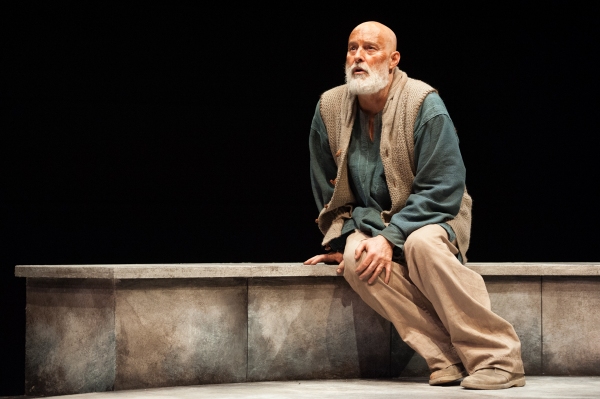 Photo Flash: Sneak Peek at Stephen Yoakam in AN ILIAD at the Guthrie Image
