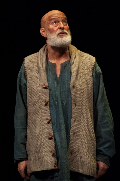 Photo Flash: Sneak Peek at Stephen Yoakam in AN ILIAD at the Guthrie Image