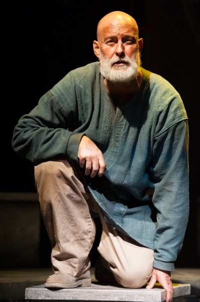 Photo Flash: Sneak Peek at Stephen Yoakam in AN ILIAD at the Guthrie Image