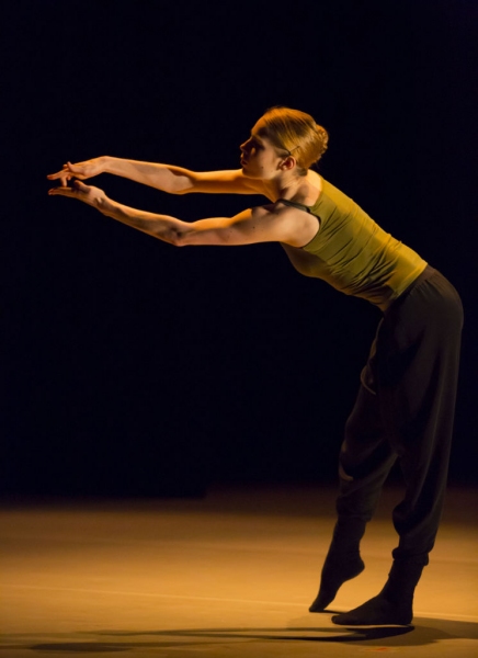 Photo Flash: First Look at Hubbard Street Dancers Image