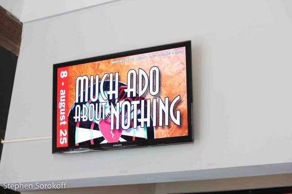 Photo Coverage: Barrington Stage Company Celebrates Opening Night of MUCH ADO ABOUT NOTHING Image