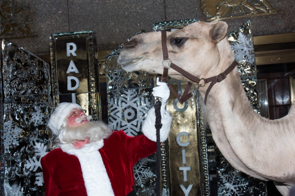 Santa Claus with a camel from the Radio City Christmas Spectacular Photo