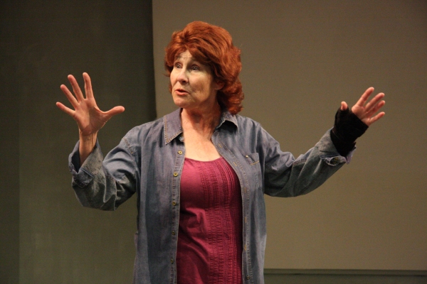 Photo Flash: Georgia Clinton in RED HOT PATRIOT, Opening 8/18 at Addison Theatre Centre 