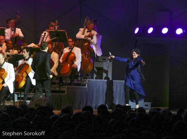 Photo Coverage: Michael Feinstein & Friends Play Tanglewood Image