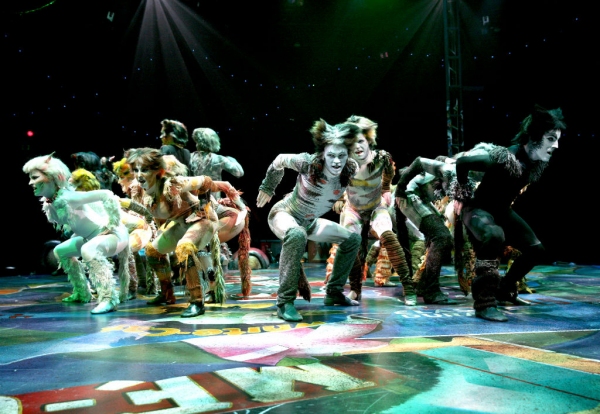 Photo Flash: First Look at Katy Blake, Erica Cenci and More in NSMT's CATS Image