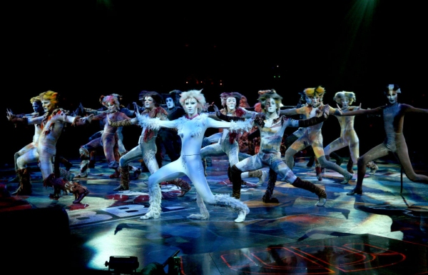 Photo Flash: First Look at Katy Blake, Erica Cenci and More in NSMT's CATS Image