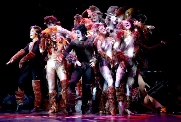 Photo Flash: First Look at Katy Blake, Erica Cenci and More in NSMT's CATS Image