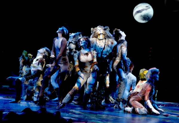 Photo Flash: First Look at Katy Blake, Erica Cenci and More in NSMT's CATS 