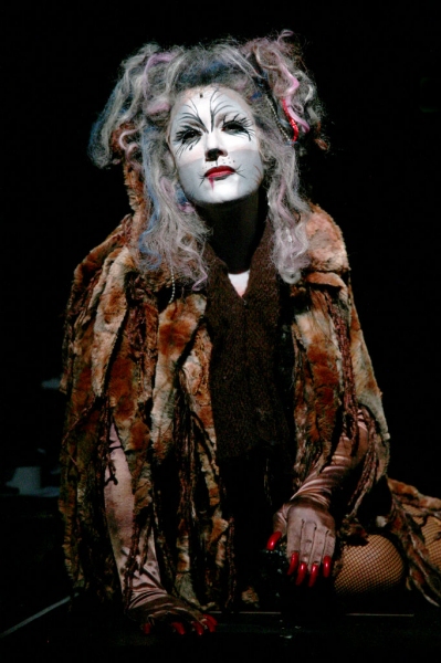 Photo Flash: First Look at Katy Blake, Erica Cenci and More in NSMT's CATS Image