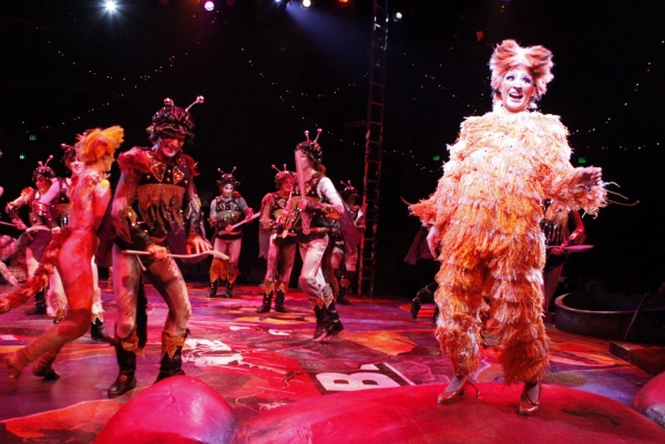 Photo Flash: First Look at Katy Blake, Erica Cenci and More in NSMT's CATS Image