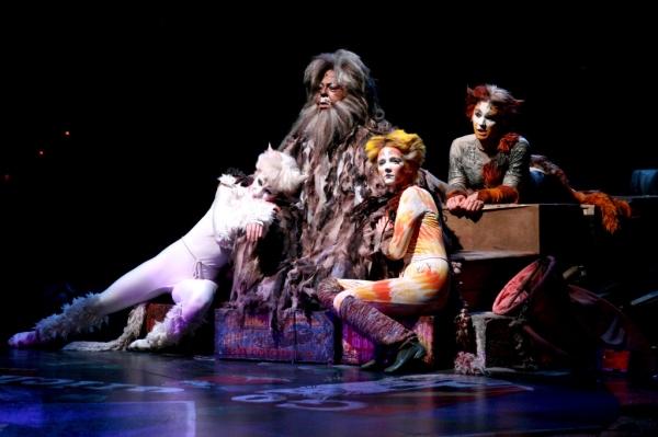 Photo Flash: First Look at Katy Blake, Erica Cenci and More in NSMT's CATS  Image