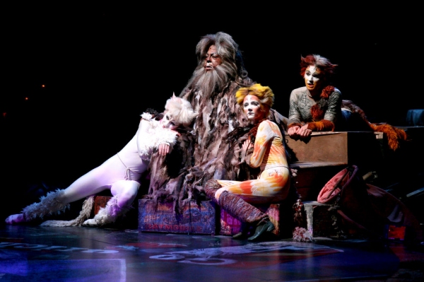Photo Flash: First Look at Katy Blake, Erica Cenci and More in NSMT's CATS Image